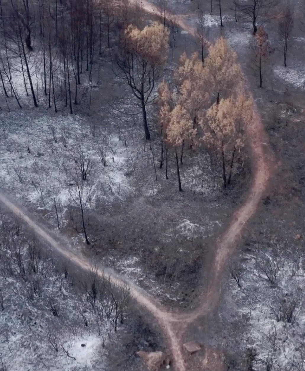 Aubais après l'incendie, 2022.
